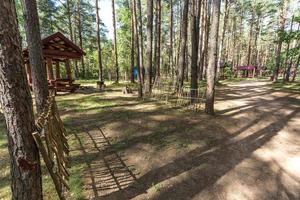 cenadores de madera para acampar con todas las comodidades en un bosque de pinos foto