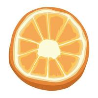 halgf orange citrus fruit vector