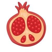 fresh half pomegranate fruit vector