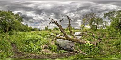 full seamless spherical hdri panorama 360 degrees angle view near small lake with felled clumsy tree and overcast sky in equirectangular projection, ready VR AR virtual reality content photo