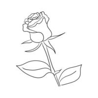 hand drawn line art rose flower vector illustration
