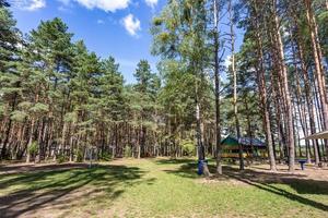 cenadores de madera para acampar con todas las comodidades en un bosque de pinos foto