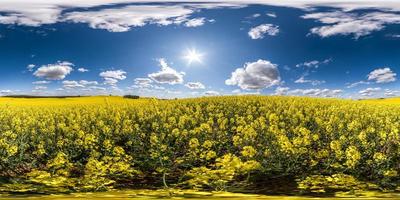 panorama hdri esférico completo sin costuras vista en ángulo de 360 grados entre campos de colza de canola de colza en el día de primavera con cielo azul en proyección equirectangular, listo para contenido de realidad virtual vr ar foto