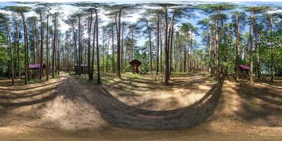 panorama hdri esférico completo sin costuras vista angular de 360 grados en cenadores de madera para acampar con todas las comodidades en un bosque de pinos en proyección equirectangular con cenit y nadir, para contenido vr ar foto