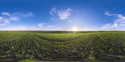 vista de ángulo de 360 grados de panorama hdri esférico completo sin costuras entre campos en el día de primavera con nubes impresionantes en proyección equirectangular, listo para contenido de realidad virtual vr ar foto