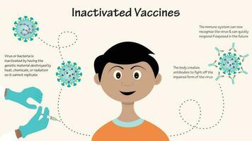 diagrama infográfico de vacunas inactivadas vector