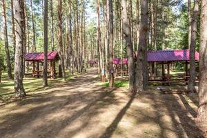 cenadores de madera para acampar con todas las comodidades en un bosque de pinos foto