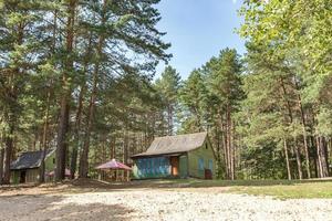 cenadores de madera para acampar con todas las comodidades en un bosque de pinos foto