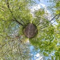 Little planet transformation of spherical panorama 360 degrees. Spherical abstract aerial view in forest. Curvature of space. photo