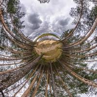 Little planet transformation of spherical panorama 360 degrees. Spherical abstract aerial view in forest. Curvature of space. photo