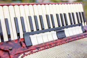 rows of accordion keys photo