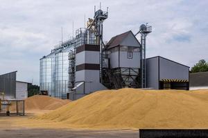 ascensor de granero moderno. silos de plata en la planta de procesamiento y fabricación de productos agrícolas para el procesamiento, secado, limpieza y almacenamiento de productos agrícolas, harina, cereales y granos. foto