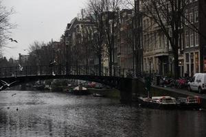 Amsterdam, Netherlands, 2015 - Seagulls flying over one of Amsterdam's canals photo
