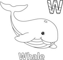 Whale Alphabet ABC Coloring Page W vector