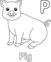 Smiling Pig Alphabet ABC Coloring Page P vector