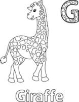 Giraffe Alphabet ABC Coloring Page G vector