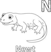 Newt Alphabet ABC Coloring Page N vector