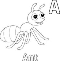 Ant Alphabet ABC Coloring Page A vector