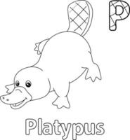 Platypus Alphabet ABC Coloring Page P vector