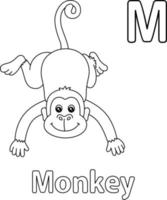 Monkey Alphabet ABC Coloring Page M vector