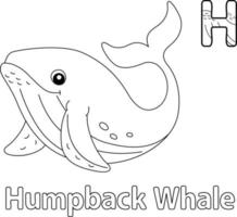 Humpback Whale Alphabet ABC Coloring Page H vector