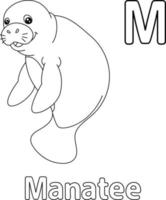 Manatee Alphabet ABC Coloring Page M vector