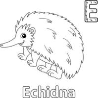 Echidna Alphabet ABC Coloring Page E vector