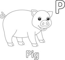 Pig Alphabet ABC Coloring Page P vector