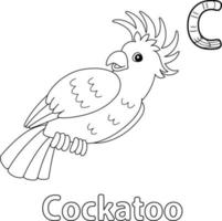 cacatúa abecedario abc para colorear p vector