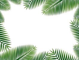 Nature background with coconut leaves around vector