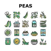 guisantes, frijoles, vegetales, colección, iconos, conjunto, vector