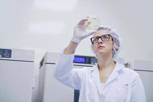 scientists working at the laboratory photo