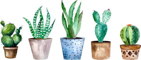 Watercolor illustration of cactus and succulent plants in pot. Watercolor individual flower pot