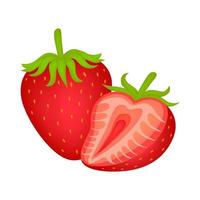 Strawberry fruit, vector graphic illustration, suitable for supermarkets, vegetarians, cafes, milk flavor variations, posters, packaging, printing and others