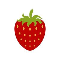 strawberry fruit, flat vector graphic illustration, supermarket, vegetarian, cafe, variety of milk flavors,juice,healthy posters, packaging, printing and others