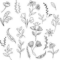 doodle style vector illustration. Set of simple elements of flowers and plants. stylized flowers, twigs of plants, leaves. Hand drawn simple icons. symbol of gardening, the arrival of spring, summer