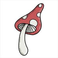 vector drawing in cartoon style. fly agaric. cute picture of fly agaric mushroom