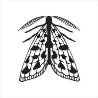dibujo lineal vectorial. polilla. dibujo simple de una mariposa aislada en un fondo blanco. gráficos en blanco y negro. símbolo de misticismo, magia, víspera de todos los santos vector