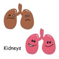 Stock illustration. Vector image of the internal organs of the kidney Isolated on a white background. Drawing in cartoon style medicine for children. comparison of sick and healthy kawaii organ