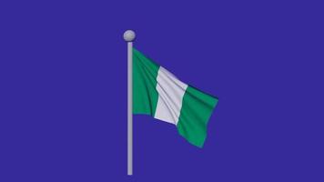 Nigeria flag video blue background