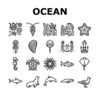 conjunto de iconos de colección de vida submarina del océano vector