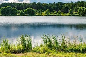 reflection in the water of a large forest lake photo