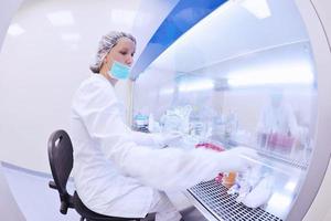 scientists working at the laboratory photo