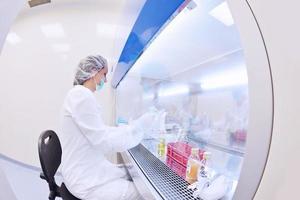 scientists working at the laboratory photo