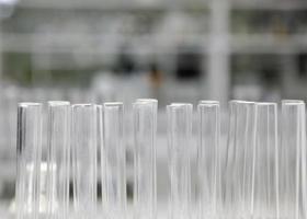 test tubes in lab photo