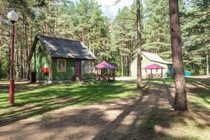 cenadores de madera para acampar con todas las comodidades en un bosque de pinos foto