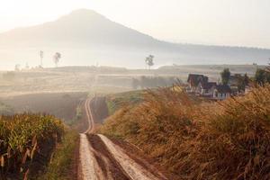 Dirt road leading through the early spring forest on a foggy morning at Khao Takhian Ngo View Point at Khao-kho Phetchabun,Thailand photo