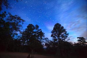 Startails over forest at Thung Salang Luang National Park Phetchabun photo