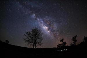 galaxia de la vía láctea y silueta de árbol con nube. fotografía de larga exposición. con grano foto