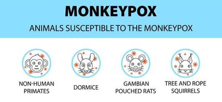 infografía de iconos susceptibles de animales del virus de la viruela del mono. nuevos casos de brotes en europa y estados unidos. vector